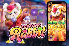 rabbit fortune in 2022